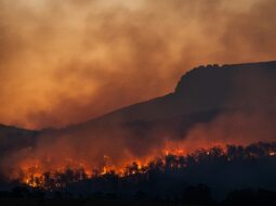 Toby Wagstaff:Climate Change