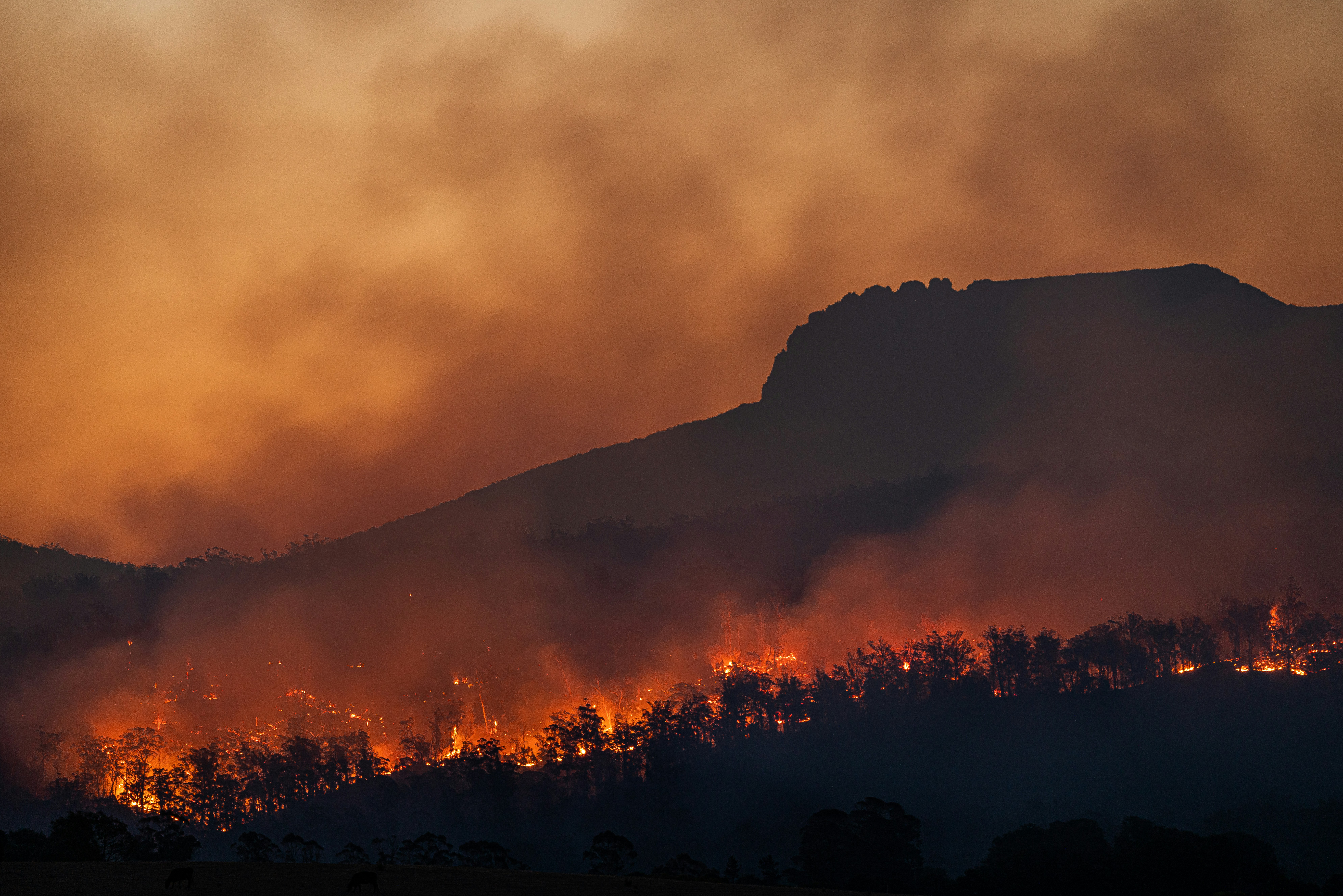 Toby Wagstaff:Climate Change